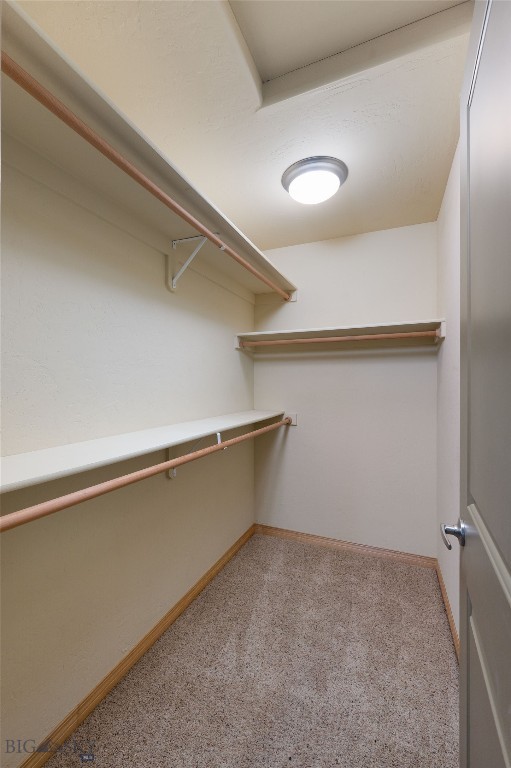 2950 Warbler Way, Bozeman MT 59718