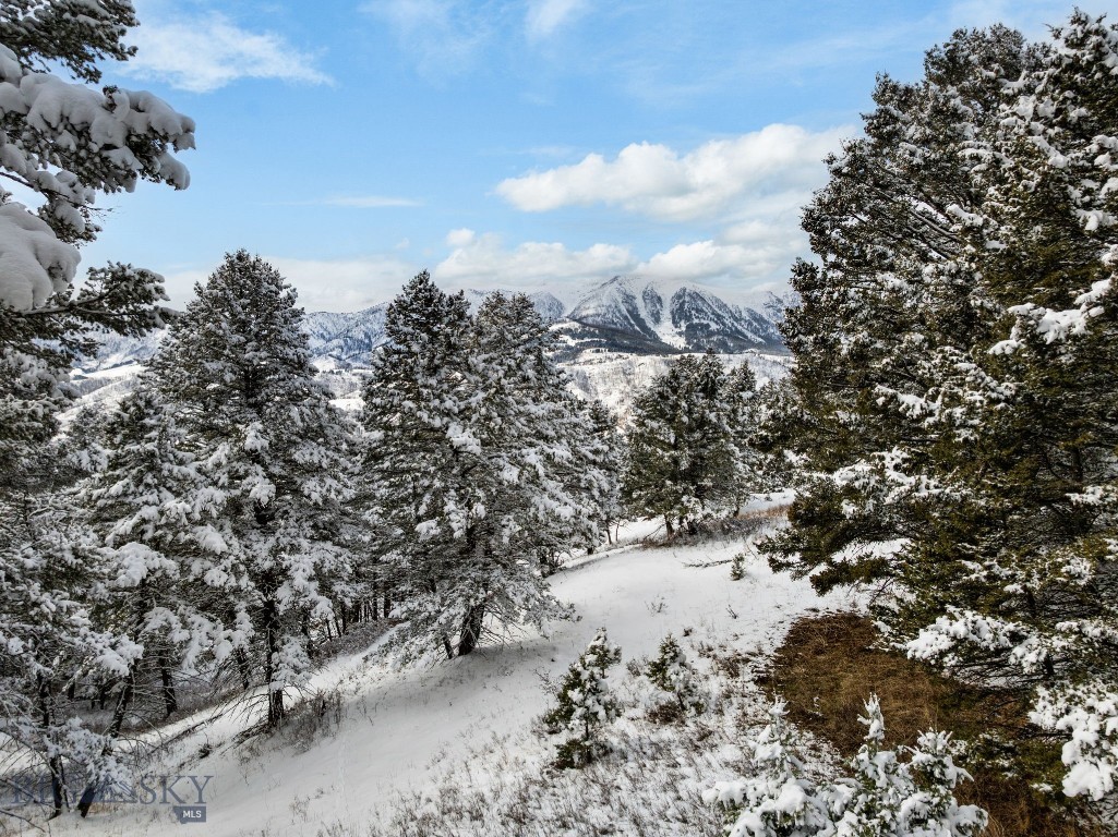 6780 Tepee Ridge Road, Bozeman MT 59715