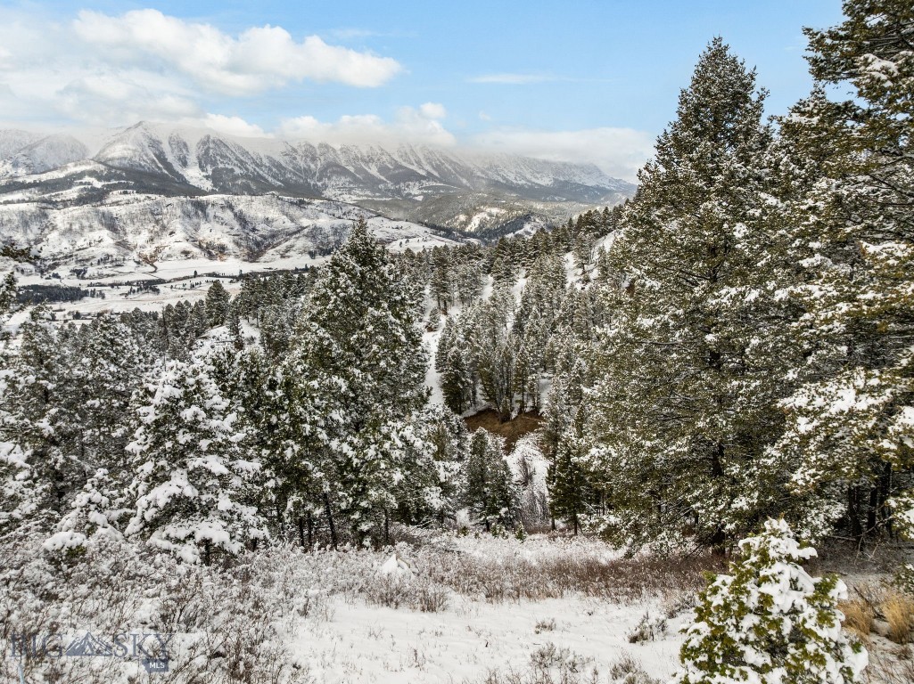 6780 Tepee Ridge Road, Bozeman MT 59715