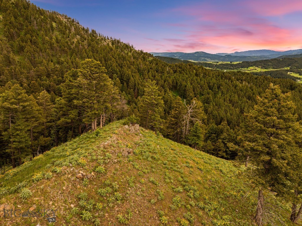 6780 Tepee Ridge Road, Bozeman MT 59715