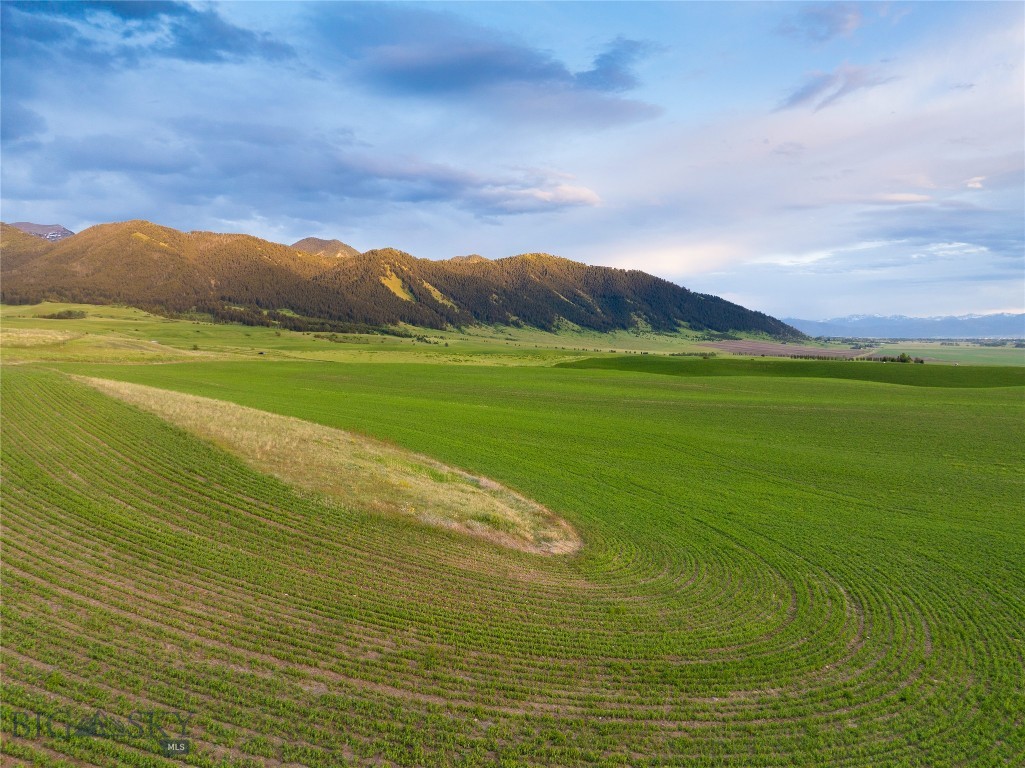 TBD Walker/Forswall, Belgrade MT 59714