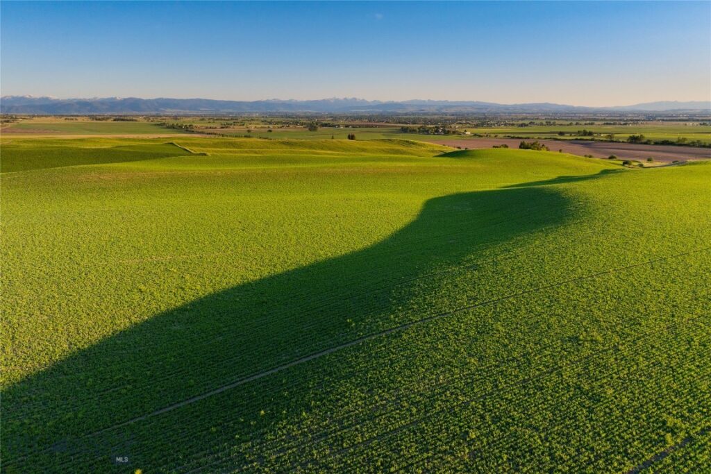 TBD Walker/Forswall, Belgrade MT 59714