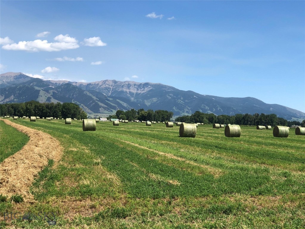 TBD Penwell Bridge, Belgrade MT 59714