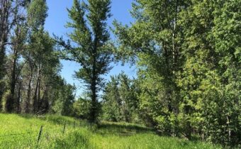 TBD Magenta, Bozeman MT 59715