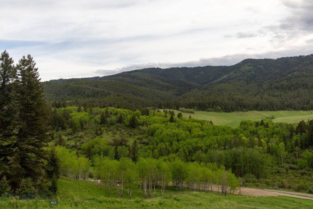 TBD Trail Creek Road Lot 3, Bozeman MT 59715