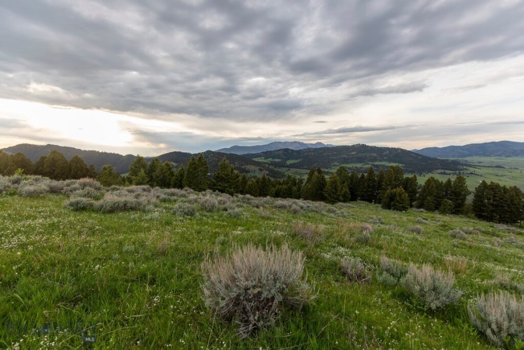 TBD Trail Creek Road Lot 3, Bozeman MT 59715