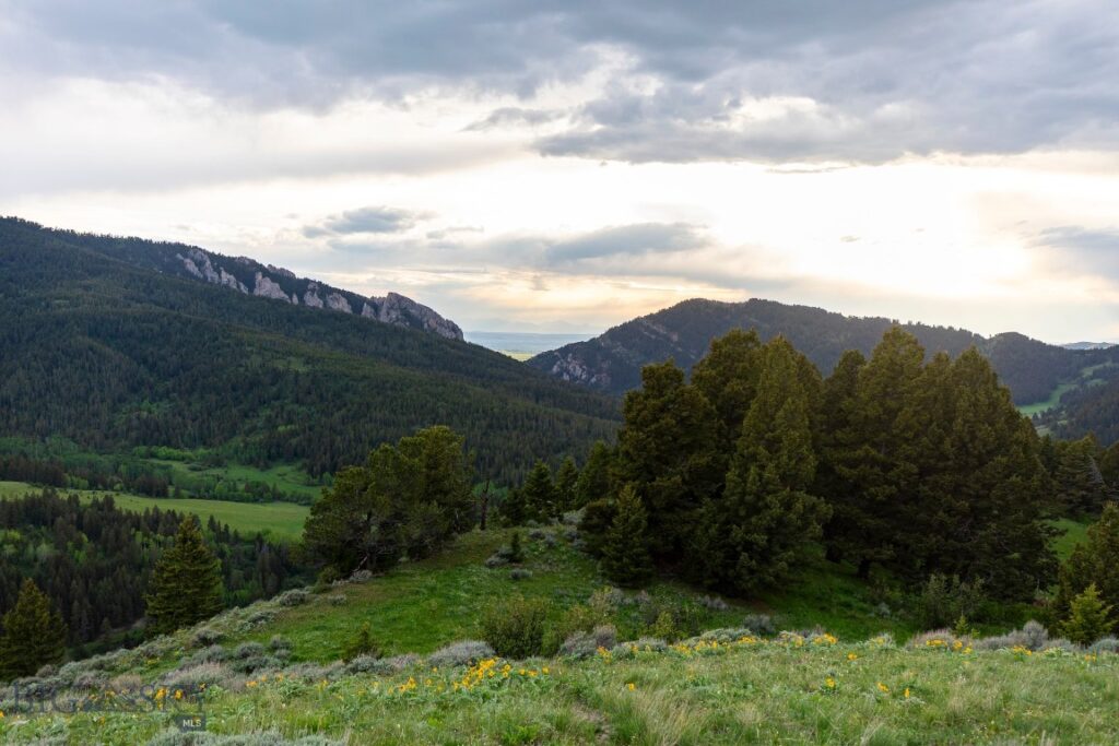 TBD Trail Creek Road Lot 3, Bozeman MT 59715
