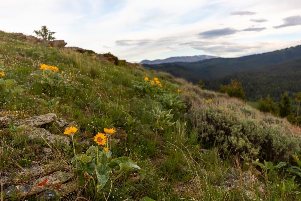 TBD Trail Creek Road Lot 3, Bozeman MT 59715