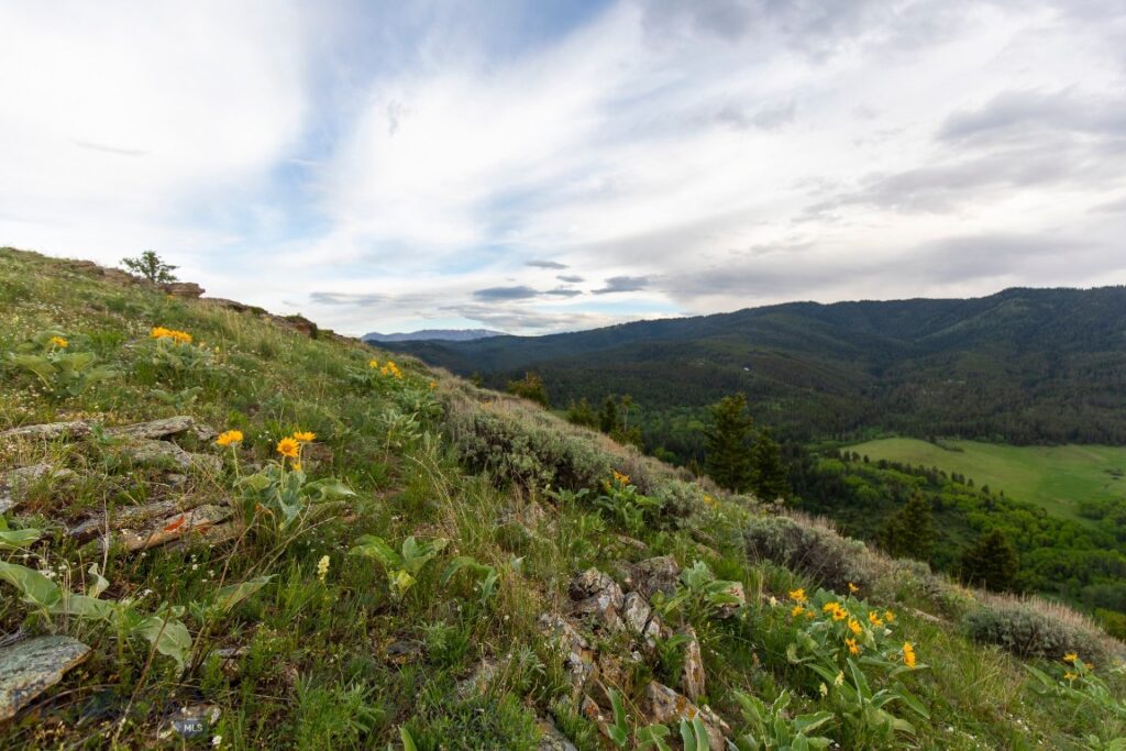 TBD Trail Creek Road Lot 3, Bozeman MT 59715