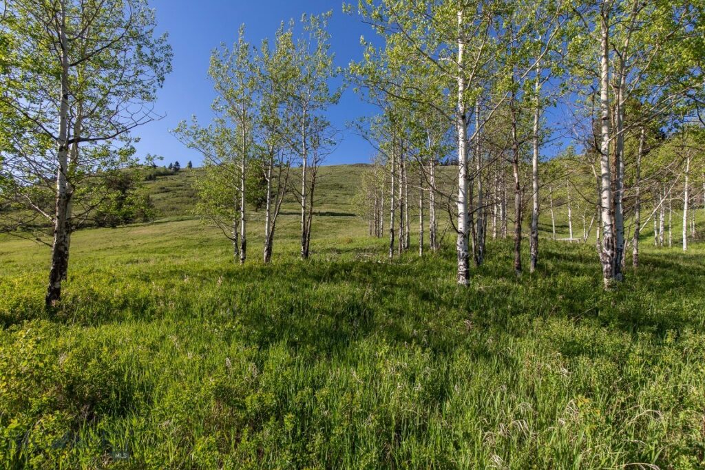 TBD Trail Creek Road Lot 3, Bozeman MT 59715