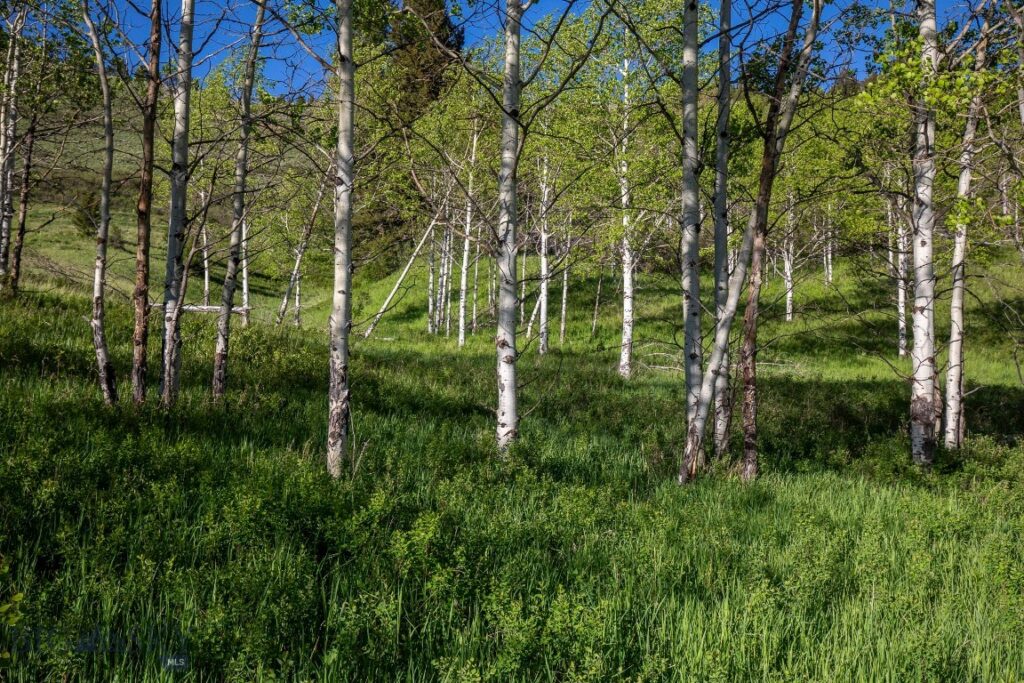 TBD Trail Creek Road Lot 3, Bozeman MT 59715