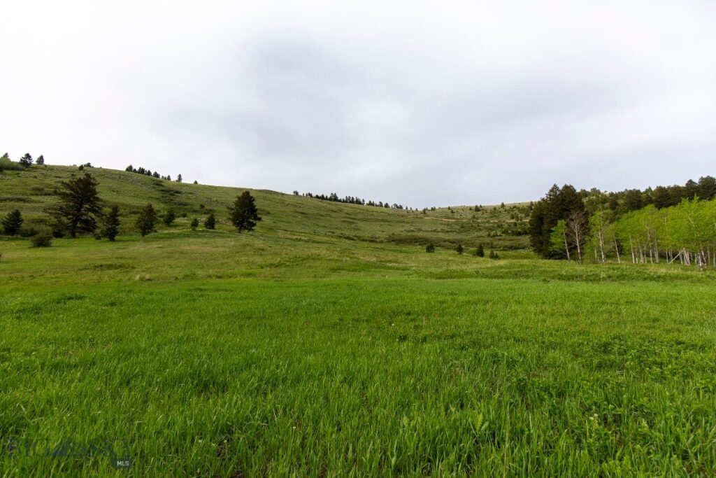 TBD Trail Creek Road Lot 3, Bozeman MT 59715