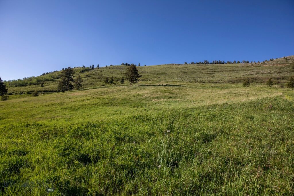 TBD Trail Creek Road Lot 3, Bozeman MT 59715