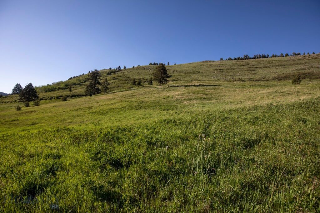 TBD Trail Creek Road Lot 3, Bozeman MT 59715