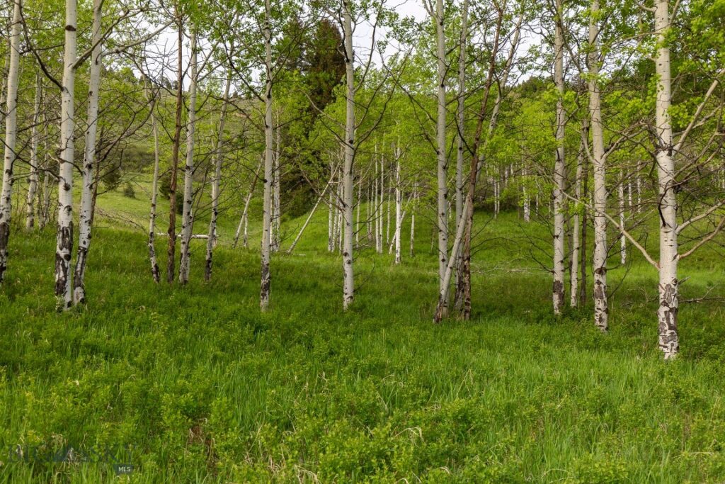 TBD Trail Creek Road Lot 3, Bozeman MT 59715
