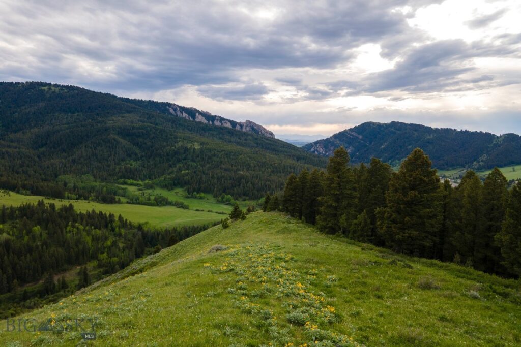 TBD Trail Creek Road Lot 3, Bozeman MT 59715