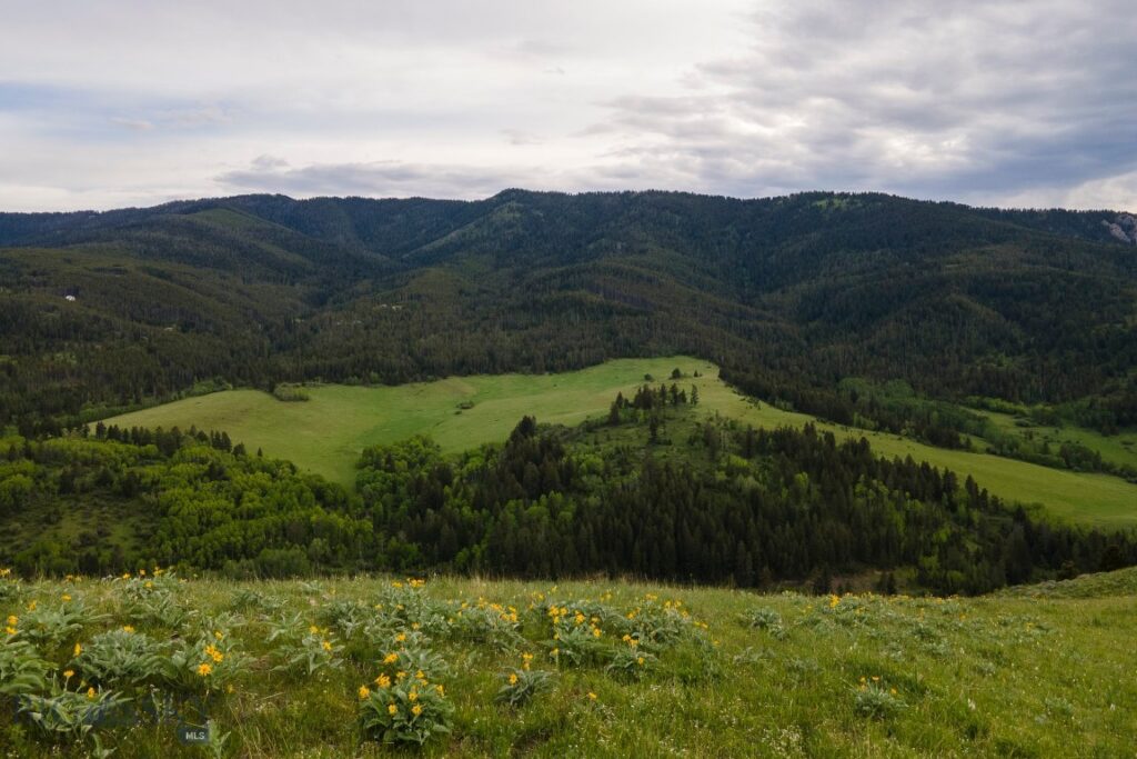 TBD Trail Creek Road Lot 3, Bozeman MT 59715