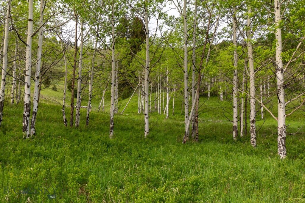 TBD Trail Creek Road Lot 3, Bozeman MT 59715