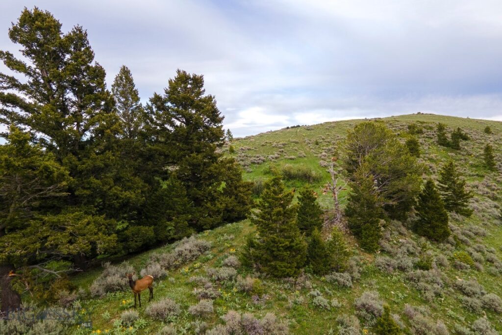 TBD Trail Creek Road Lot 3, Bozeman MT 59715