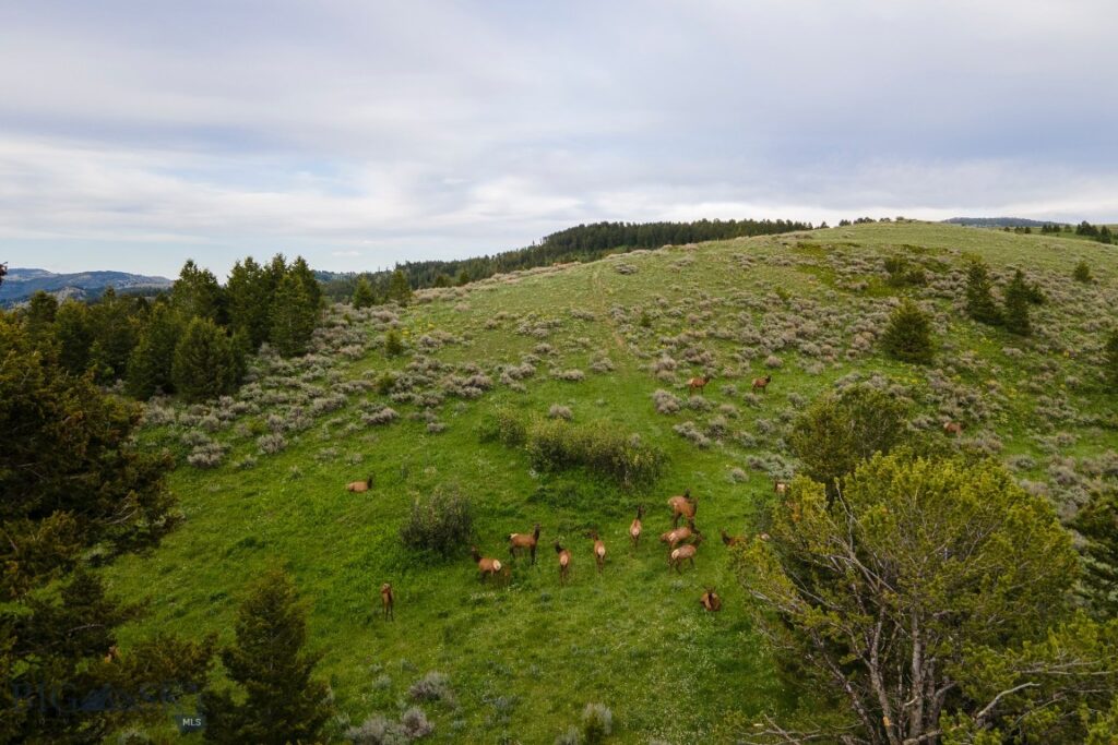 TBD Trail Creek Road Lot 3, Bozeman MT 59715