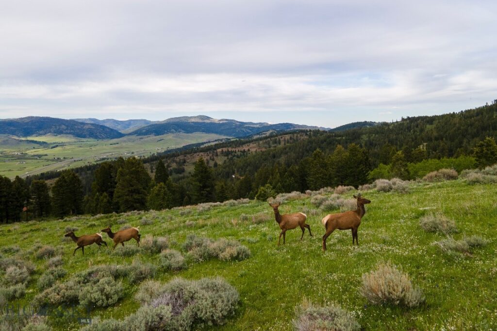 TBD Trail Creek Road Lot 3, Bozeman MT 59715