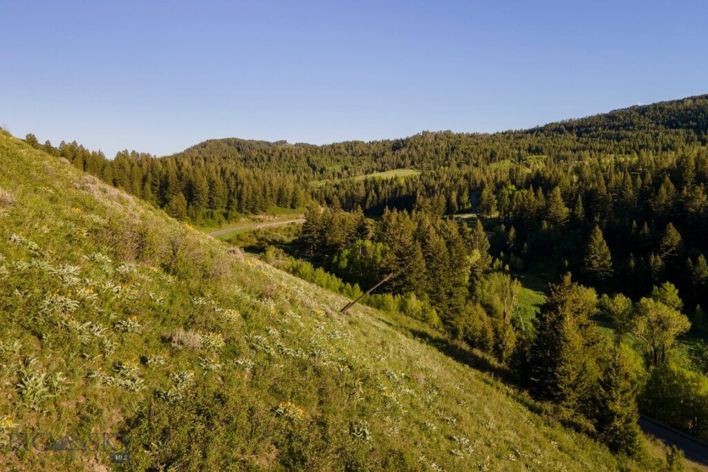 TBD Trail Creek Road Lot 3, Bozeman MT 59715