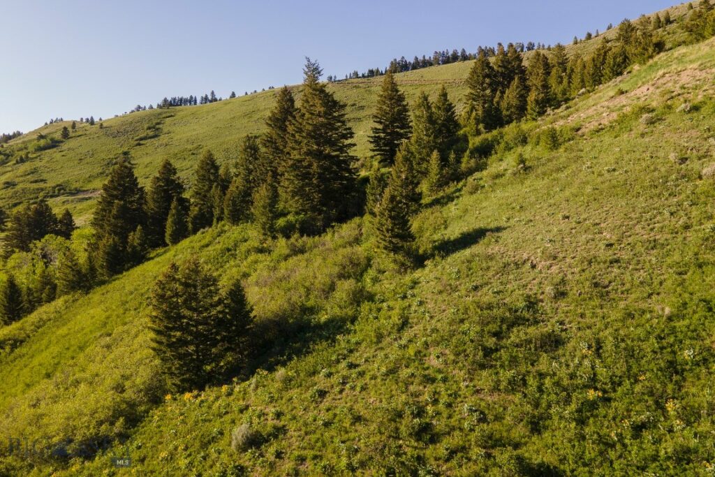 TBD Trail Creek Road Lot 3, Bozeman MT 59715