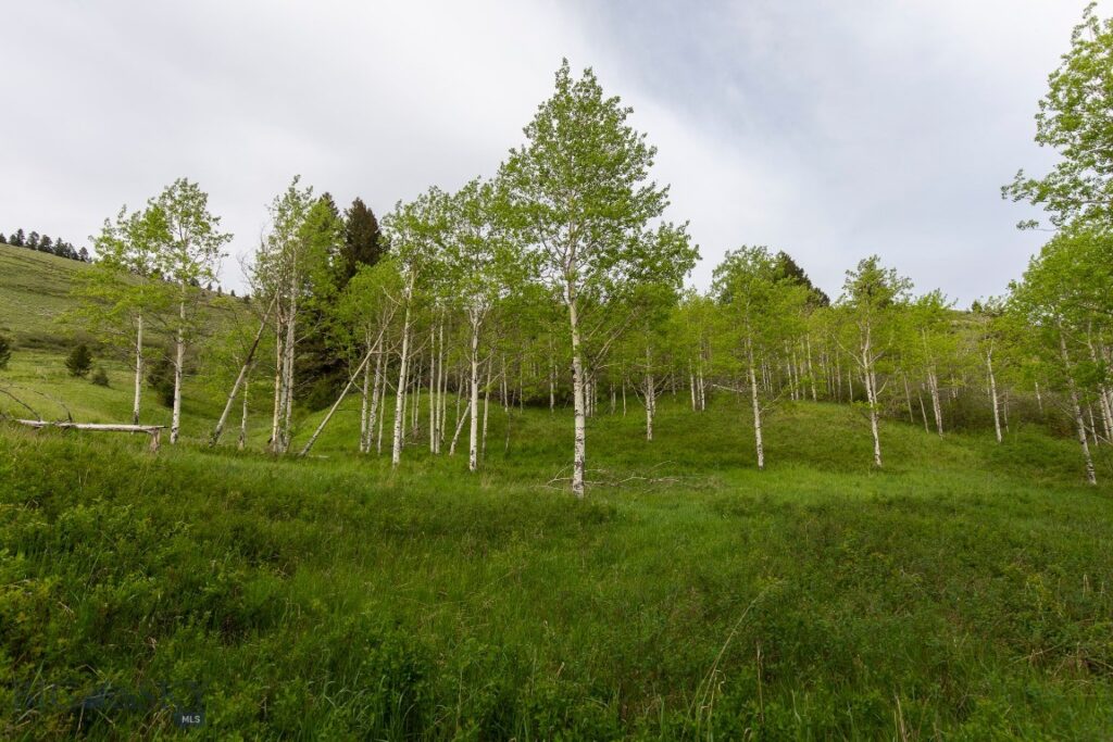 TBD Trail Creek Road Lot 3, Bozeman MT 59715