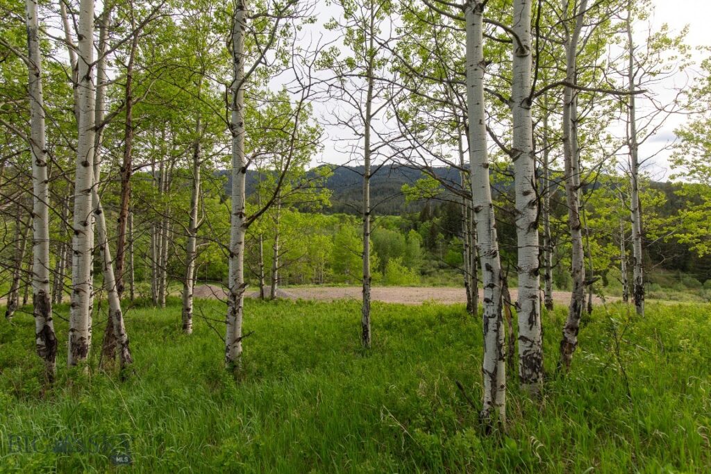 TBD Trail Creek Road Lot 3, Bozeman MT 59715