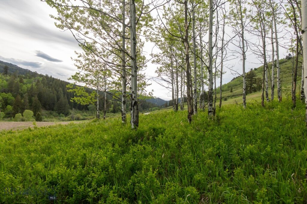 TBD Trail Creek Road Lot 3, Bozeman MT 59715