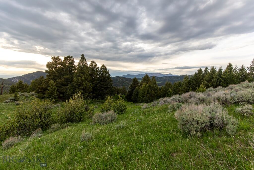 TBD Trail Creek Road Lot 2, Bozeman MT 59715