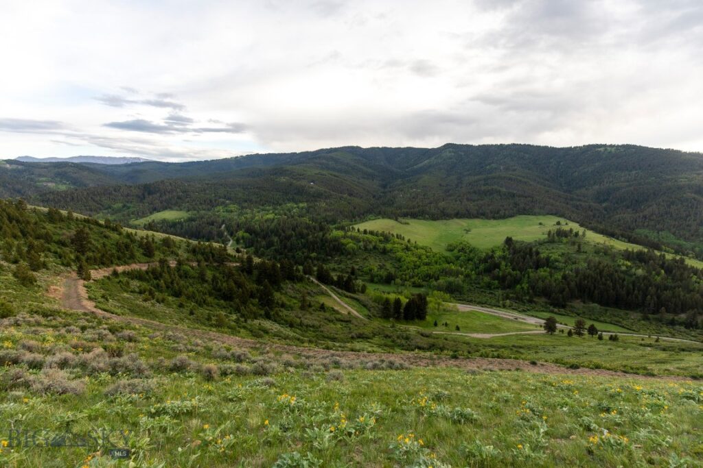 TBD Trail Creek Road Lot 2, Bozeman MT 59715