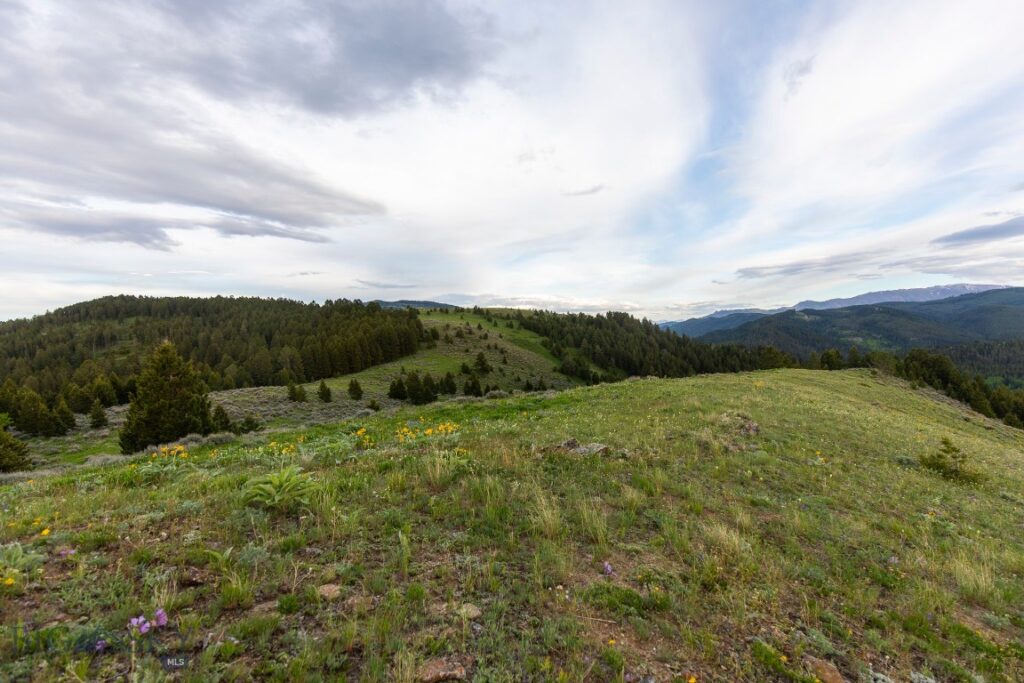 TBD Trail Creek Road Lot 2, Bozeman MT 59715