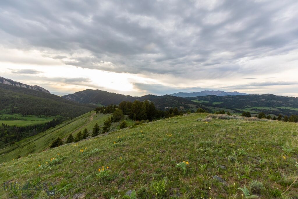 TBD Trail Creek Road Lot 2, Bozeman MT 59715