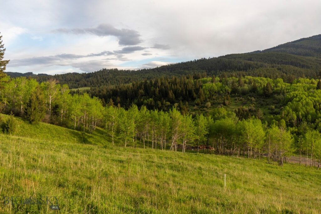 TBD Trail Creek Road Lot 2, Bozeman MT 59715