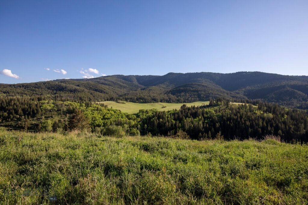 TBD Trail Creek Road Lot 2, Bozeman MT 59715