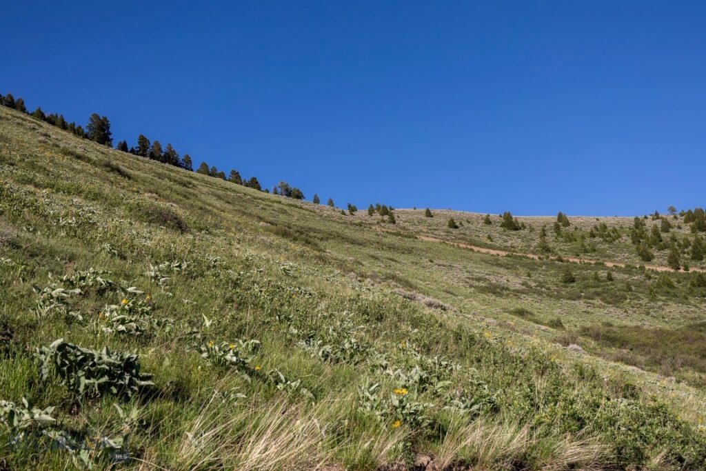 TBD Trail Creek Road Lot 2, Bozeman MT 59715