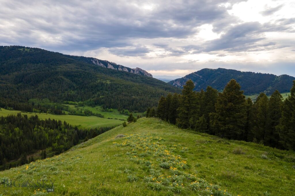 TBD Trail Creek Road Lot 2, Bozeman MT 59715