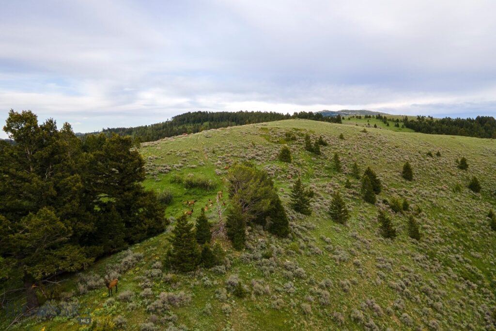 TBD Trail Creek Road Lot 2, Bozeman MT 59715