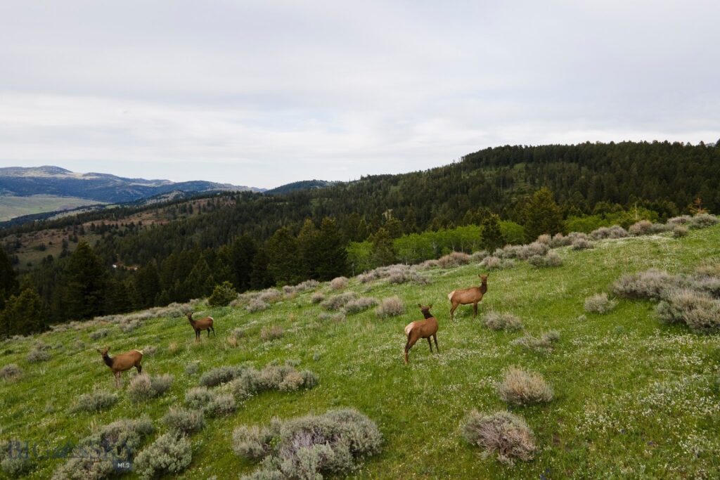 TBD Trail Creek Road Lot 2, Bozeman MT 59715