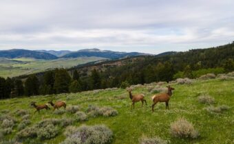 TBD Trail Creek Road Lot 2, Bozeman MT 59715