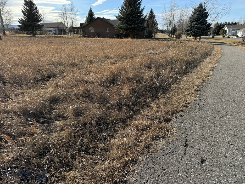 TBD Golden Trout Way, Bozeman MT 59715