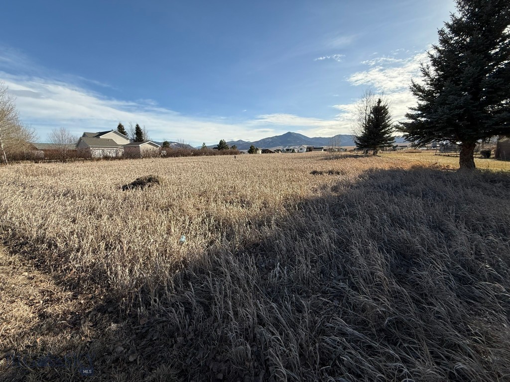 TBD Golden Trout Way, Bozeman MT 59715