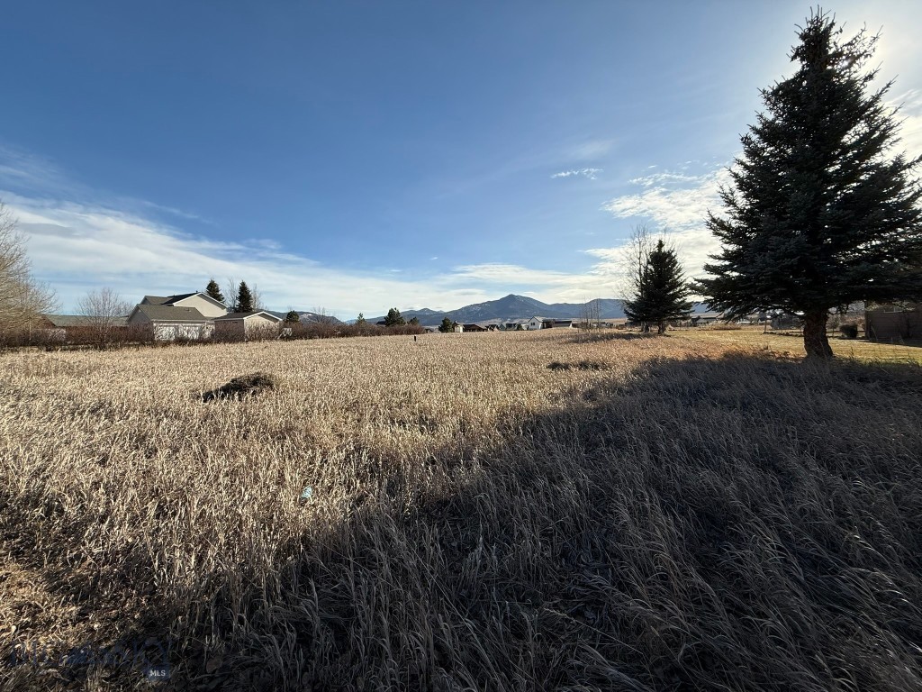 TBD Golden Trout Way, Bozeman MT 59715