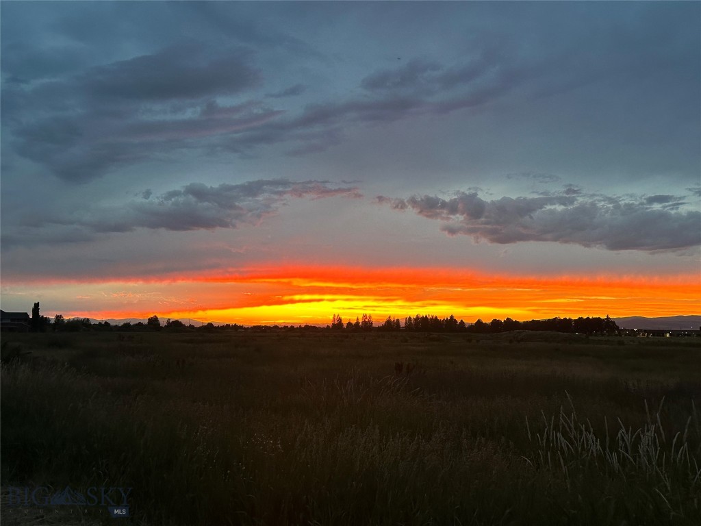 TBD Doney Way, Bozeman MT 59715