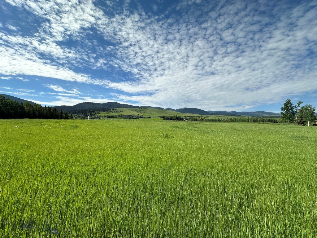 TBD Doney Way, Bozeman MT 59715