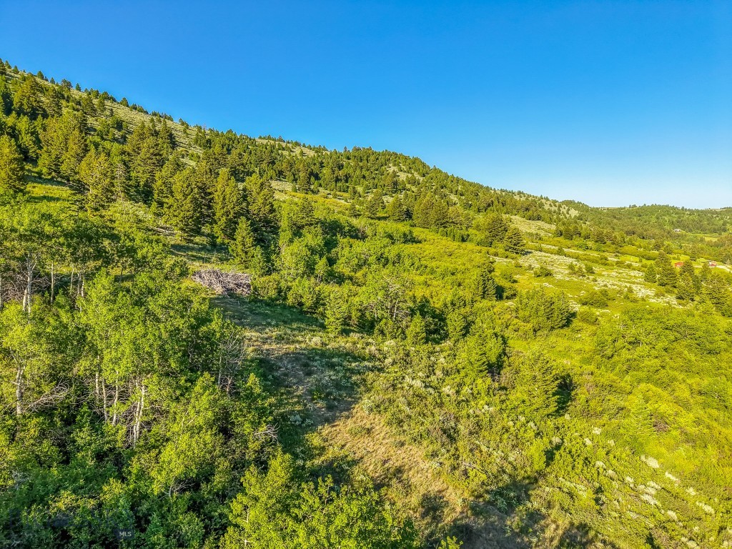 TBD Woodchuck Road, Bozeman MT 59715