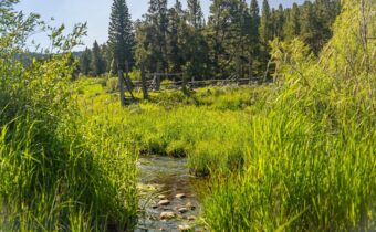 TBD Woodchuck Road, Bozeman MT 59715