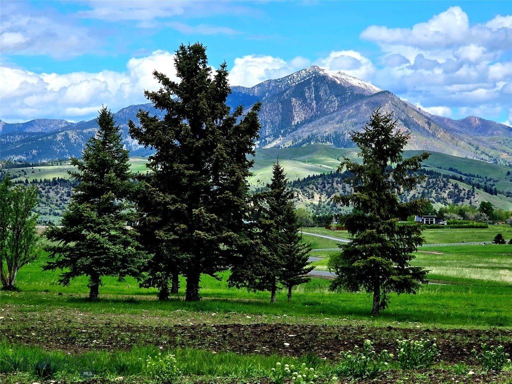 TBD Lot 17 Boreal Way, Bozeman MT 59715