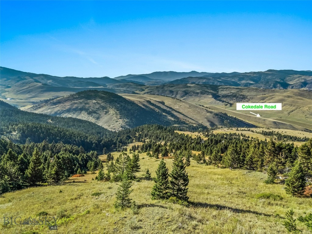 NHN Coyote (lot 69) Drive, Livingston MT 59047